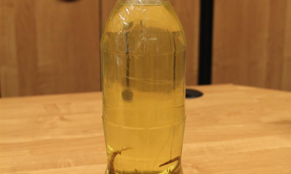 2016-3-9-114foto 8.JPG